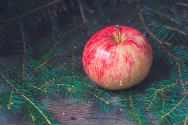 Similar image 13271868