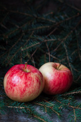 Similar image 13271869