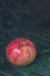 Similar image 13271870