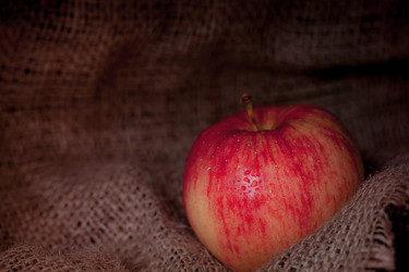 Similar image 13271886