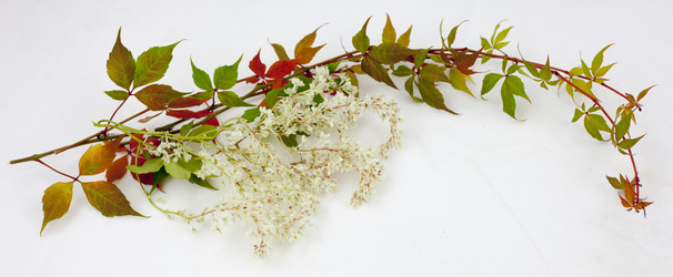 Similar image 13252312