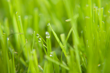 Similar image 13269864