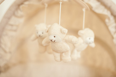 Similar image 13269865