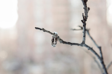 Similar image 13269866