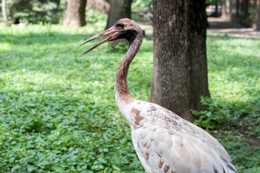 Similar image 13269877