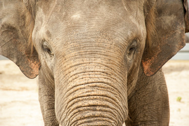 Similar image 13269890