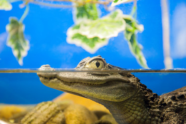 Similar image 13269892