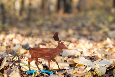 Similar image 13269897