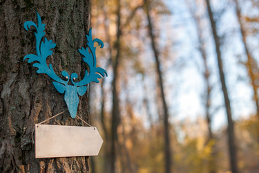 Similar image 13269754