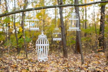 Similar image 13269757