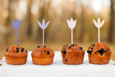 Similar image 13269767