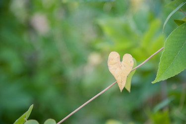 Similar image 13269769