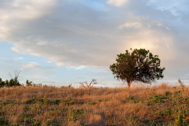 Similar image 13269796