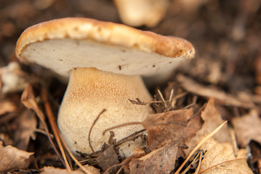 Similar image 13269799