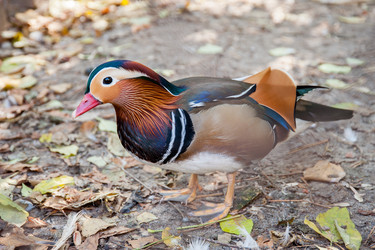 Similar image 13269802