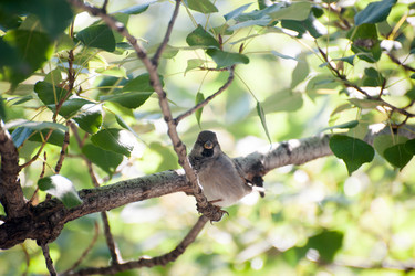 Similar image 13269842