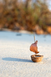 Similar image 13269844