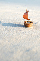 Similar image 13269845