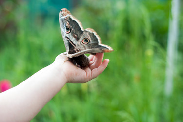 Similar image 13269869