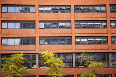 Similar image 13253355