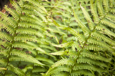 Similar image 13253345