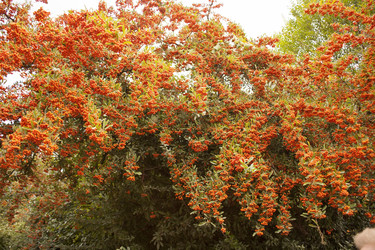 Similar image 13253346