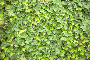 Similar image 13253348