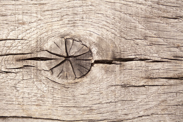 Similar image 13253362