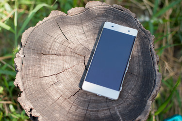 Similar image 13269986