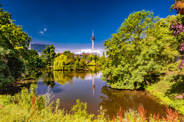 Similar image 13263952