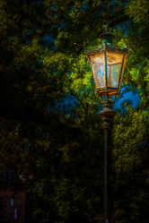 Similar image 13263954