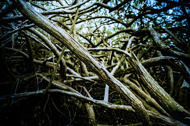 Similar image 13264060