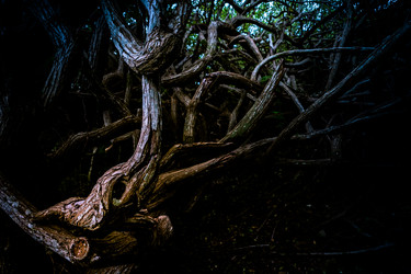 Similar image 13264057