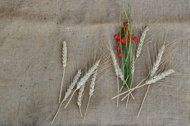 Similar image 13260807