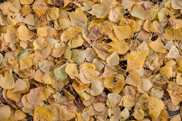 Similar image 13260787