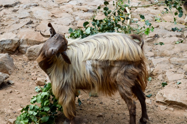 Similar image 13255180