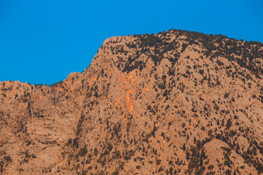 Similar image 13255100