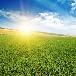 Similar image 13264397