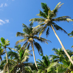 Similar image 13264416