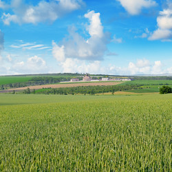 Similar image 13269476