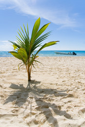 Similar image 13255202