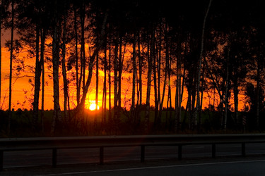 Similar image 13255206