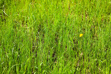 Similar image 13255216