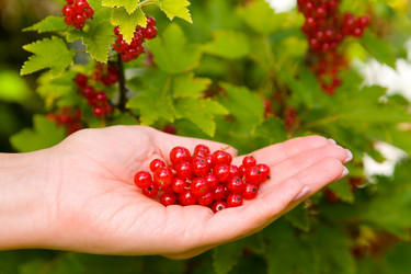 Similar image 13255225