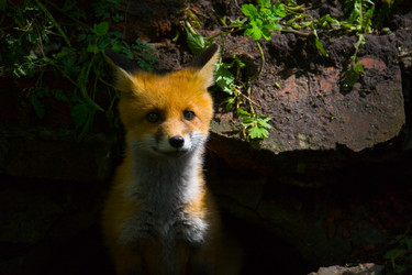 Similar image 13255229