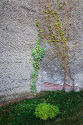 Similar image 13255232