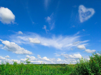 Similar image 13255233