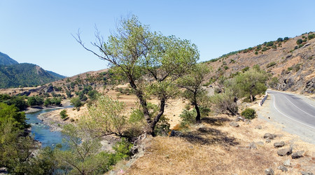 Similar image 13255244