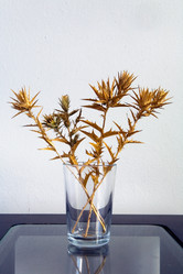 Similar image 13255245