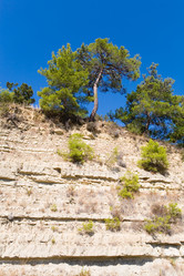 Similar image 13255246